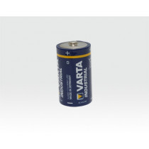 Professional Alkali Batterie 1,5V Mono D